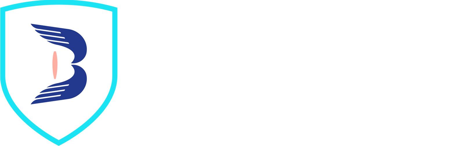 www.bawales.com