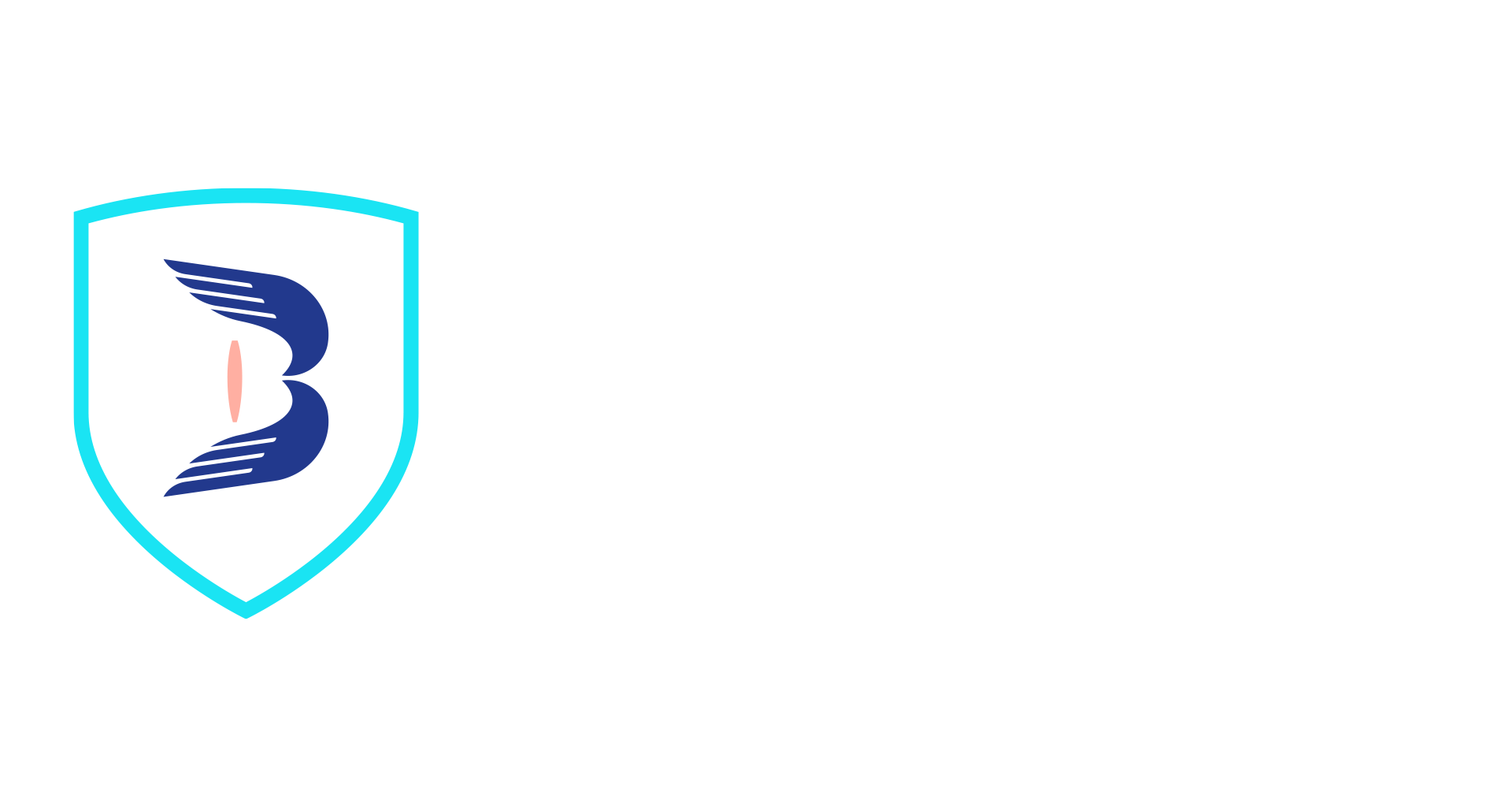 www.bawales.com